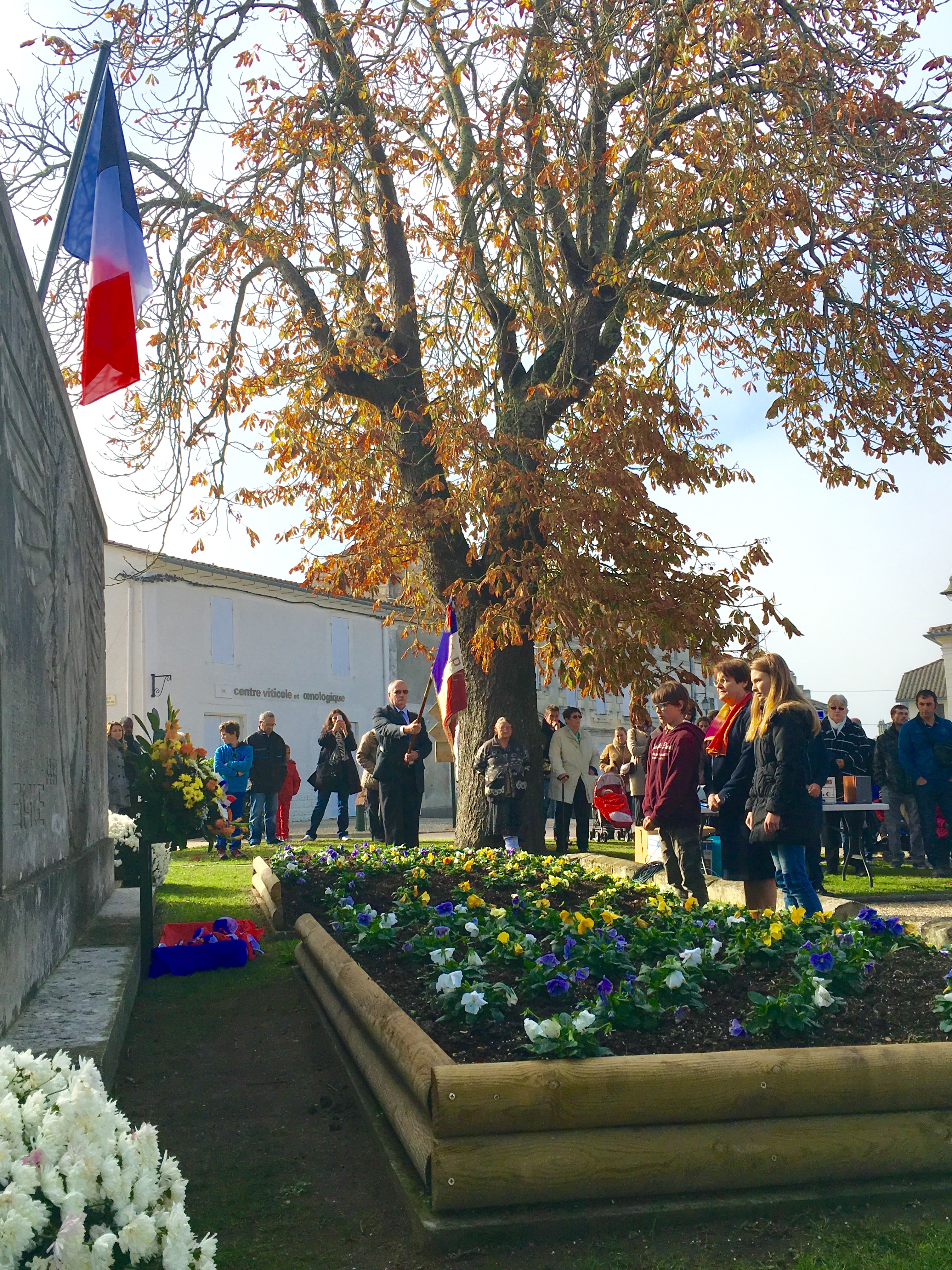Photo 11-11-2015 11 51 34