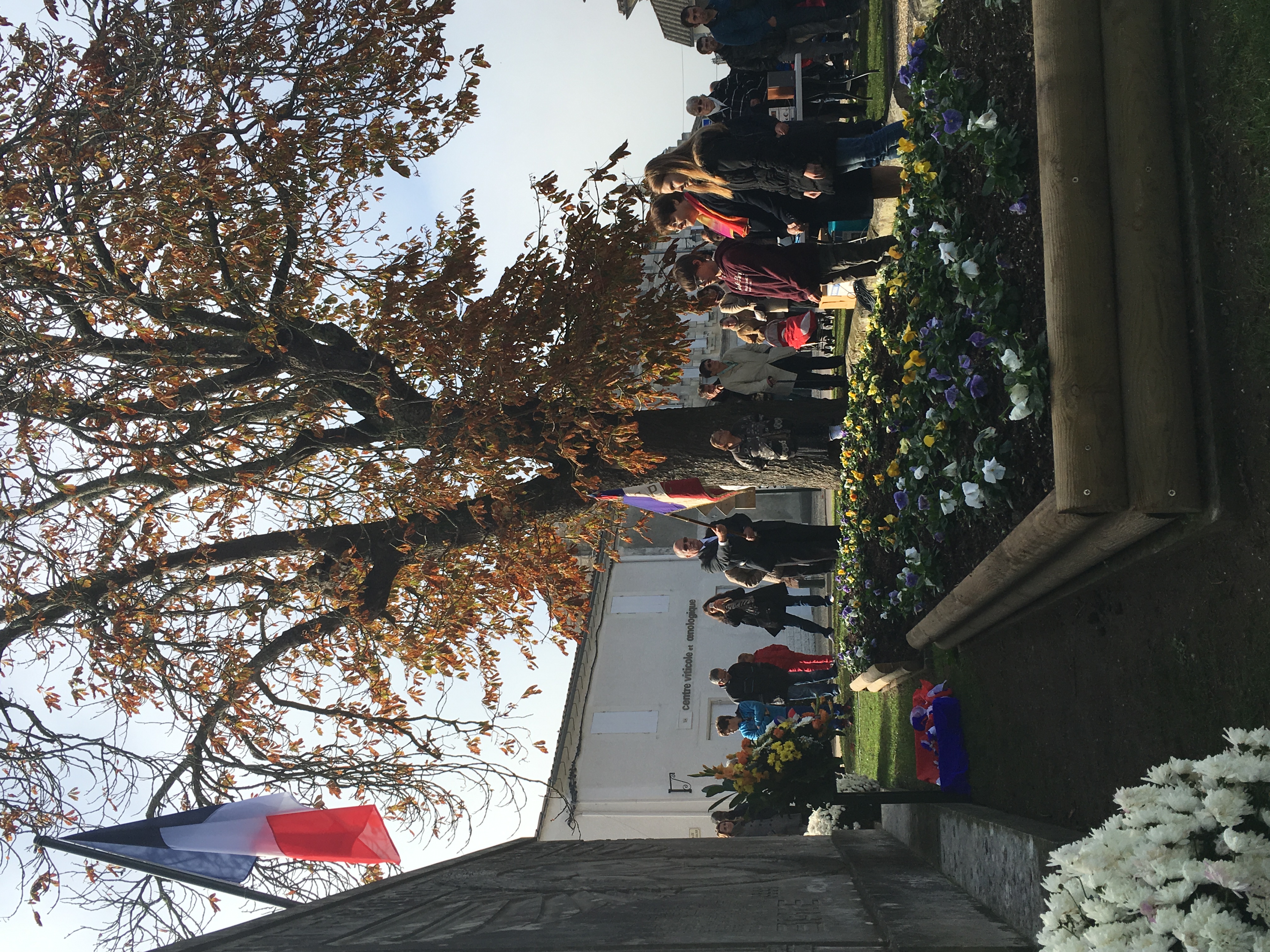 Photo 11-11-2015 11 51 35