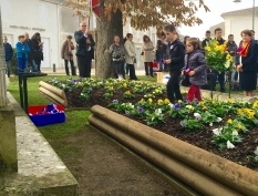 Photo 11-11-2015 11 39 10
