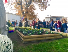 Photo 11-11-2015 11 51 24
