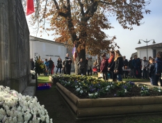 Photo 11-11-2015 11 51 29