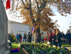 Photo 11-11-2015 11 51 34